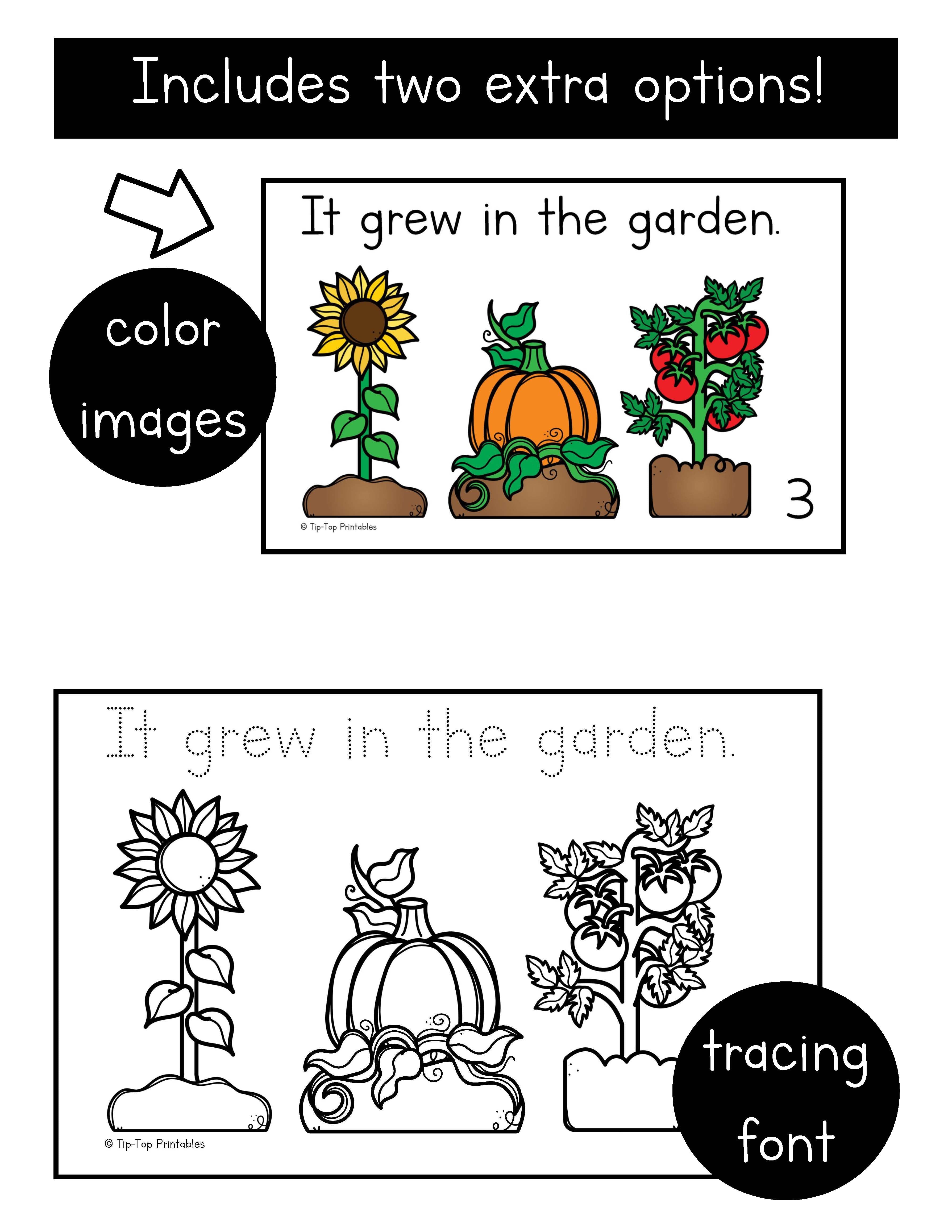 Jellybean Emergent Reader – The Tip-Top Printables Shop
