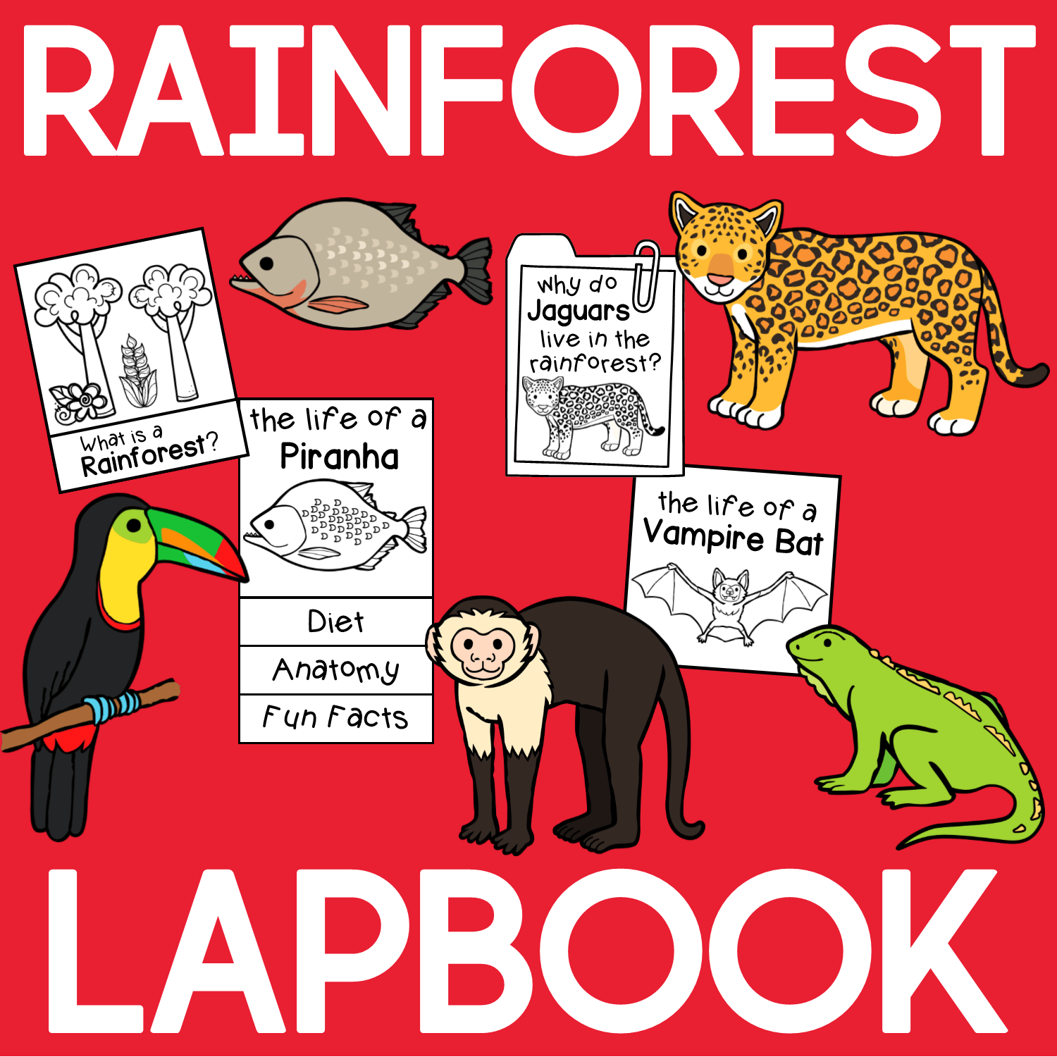 rainforest animals pictures and facts