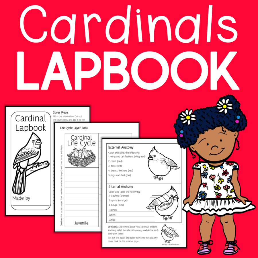 Cardinal Lapbook