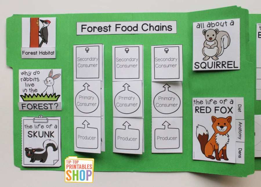 Forest Lapbook