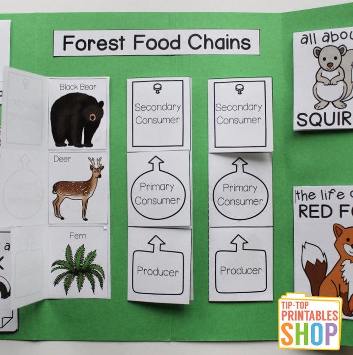 Forest Lapbook – The Tip-Top Printables Shop