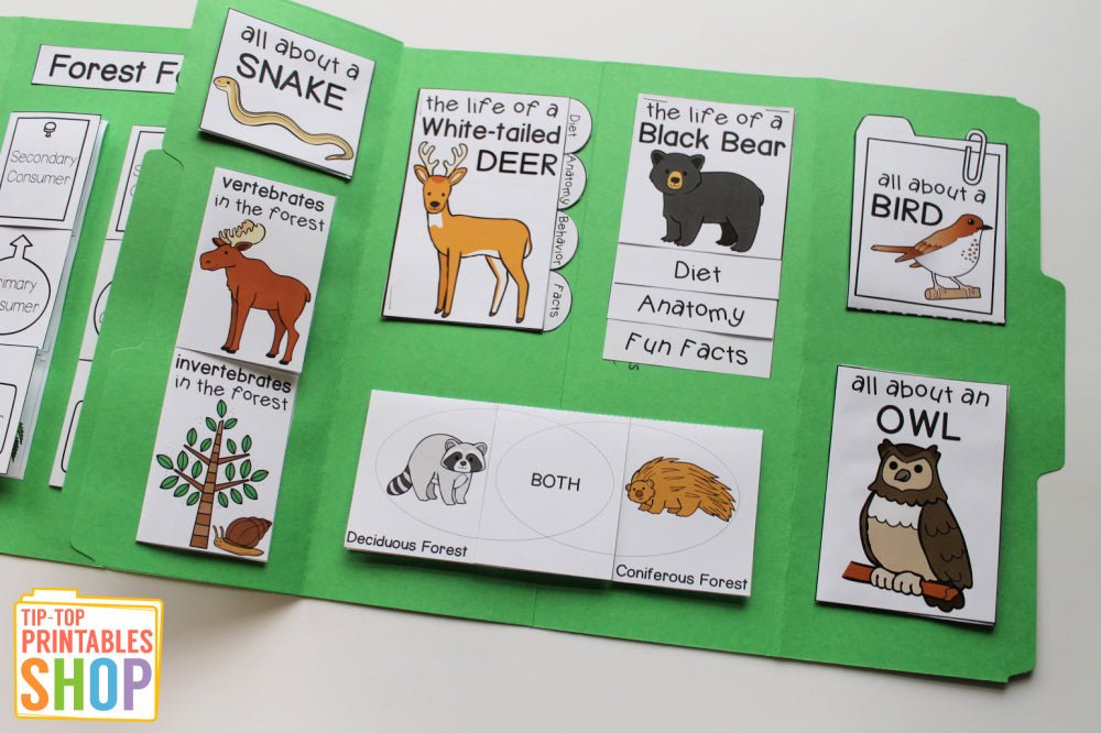 Forest Lapbook – The Tip-Top Printables Shop