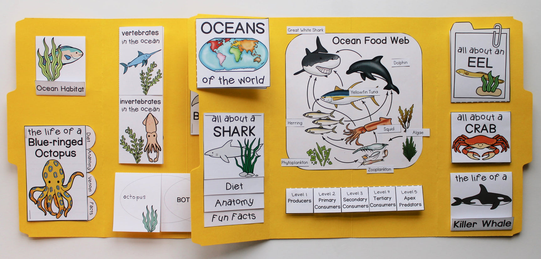 Ocean Lapbook – The Tip-Top Printables Shop