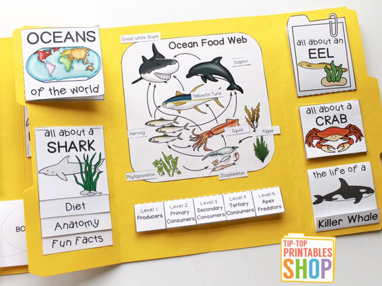 Ocean Lapbook – The Tip-Top Printables Shop