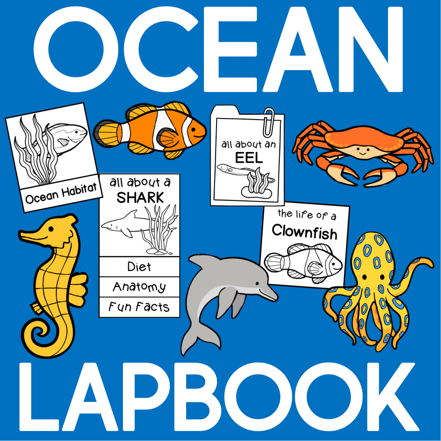 Ocean Lapbook