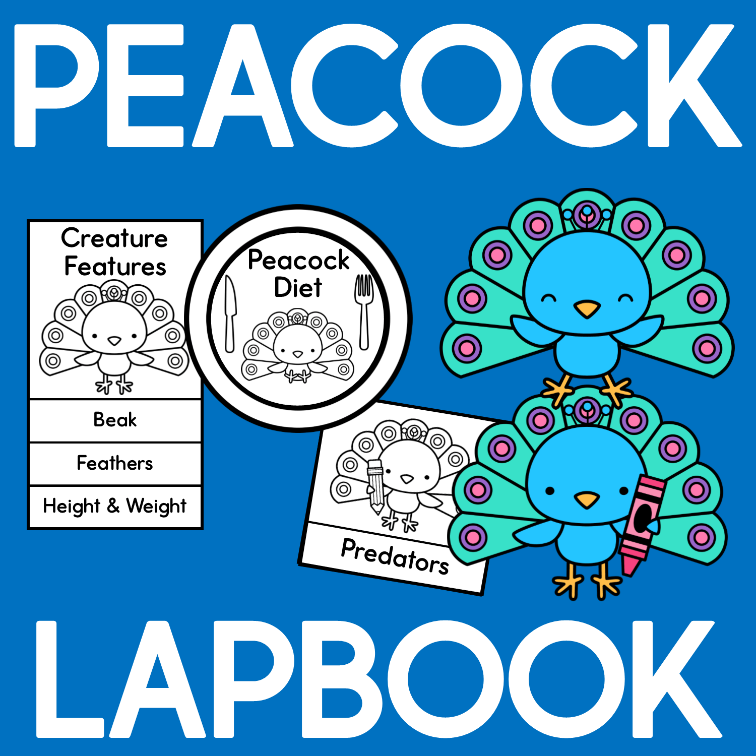 Peacock Lapbook – The Tip-Top Printables Shop