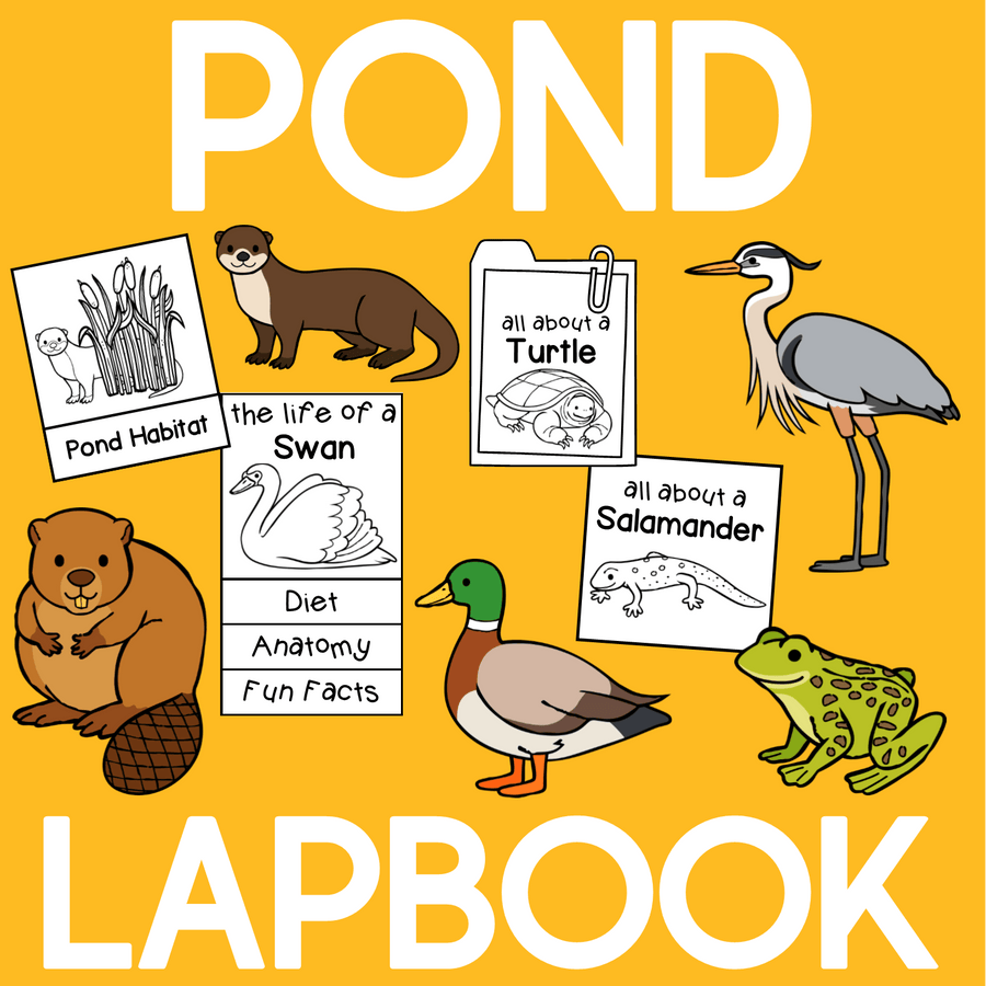 Pond Lapbook