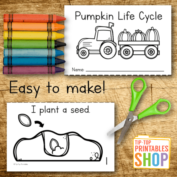 Pumpkin Life Cycle Booklet