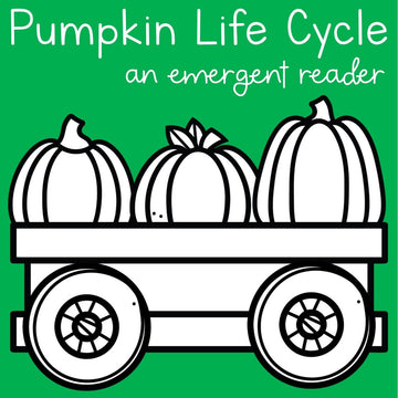 Pumpkin Life Cycle Booklet