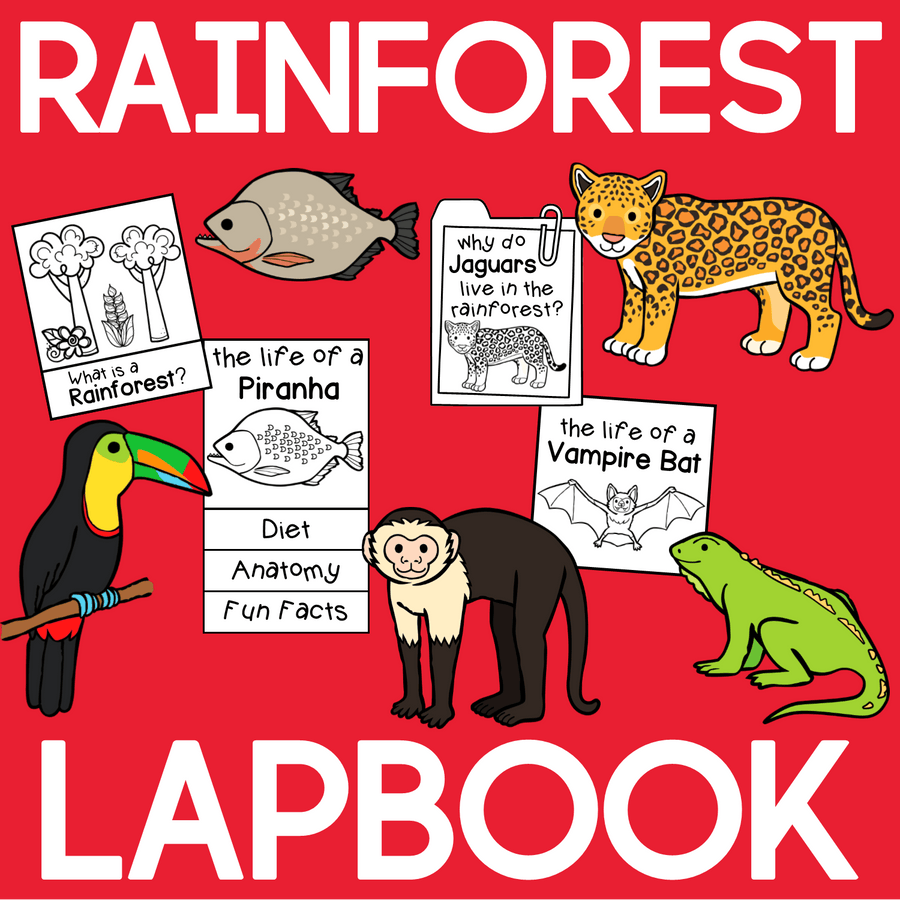Rainforest Lapbook