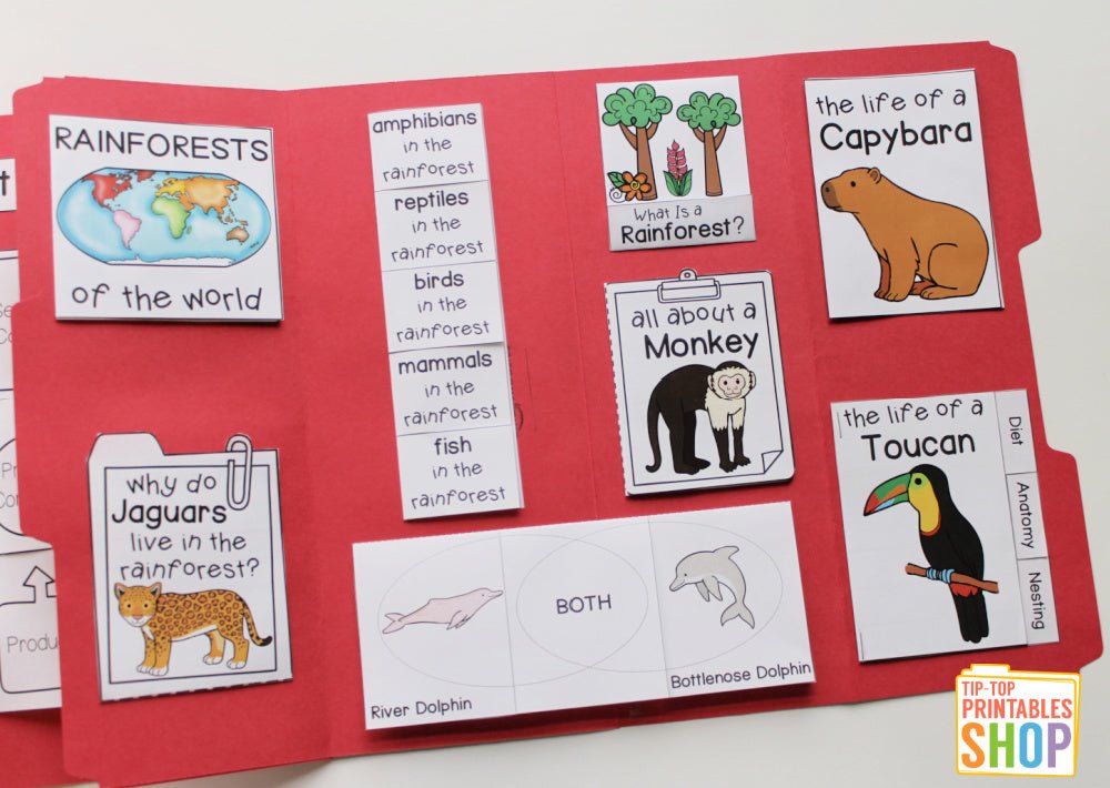 Rainforest Lapbook – The Tip-Top Printables Shop