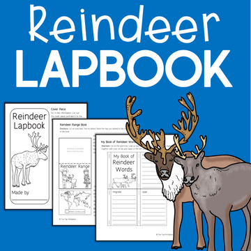 Reindeer Lapbook