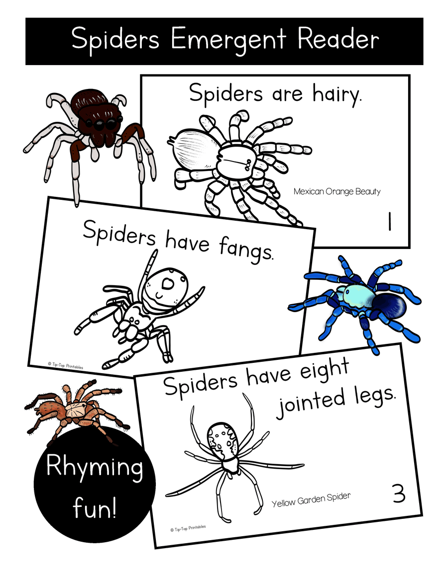 Spider Reader Spiders Emergent Reader – The Tip-Top Printables Shop