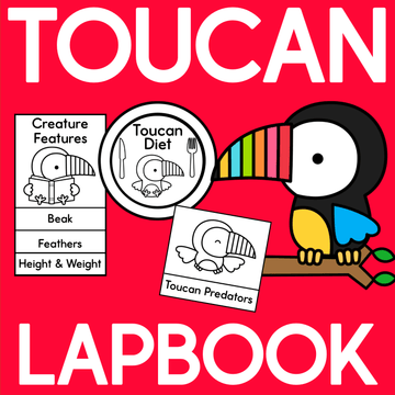 Toucan Lapbook